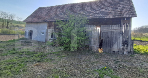 Casă de v&acirc;nzare la țară &ndash; Sat Nandra, Comuna Bichiș,