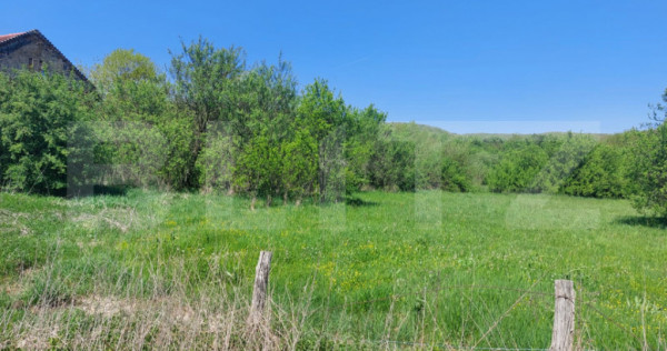 Teren intravilan 2200 mp, acces asfalt, pădure &ndash; Cuieș,