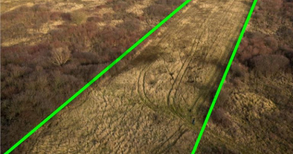 RECO . Teren extravilan . Uileacul de munte