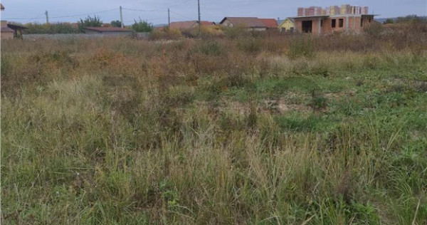 RECO Teren intravilan, Osorhei