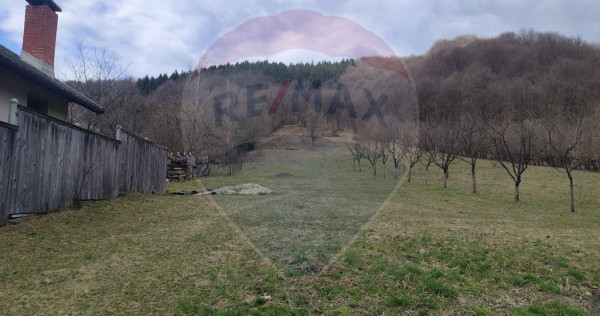 Teren de v&acirc;nzare &icirc;n Firiza, Baia Mare