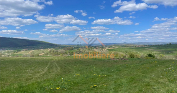 TEREN | BALNACA | 6301MP | BIHOR