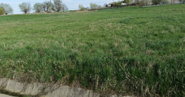 Teren Intravilan 20 Ari &ndash; Zvoristea-Stanca, Suceava la