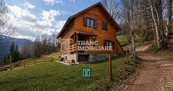 Cabana la munte &icirc;n Arieseni-Ideală pentru vacanță sau...