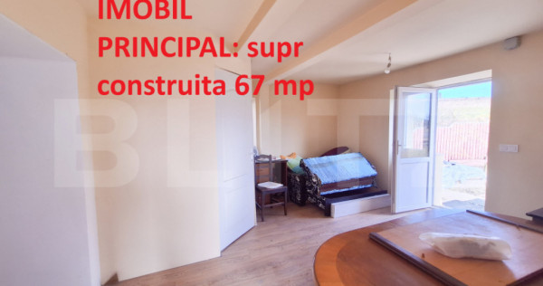 Proprietate cu 3 imobile și 1281 mp teren, Săliștea Nouă