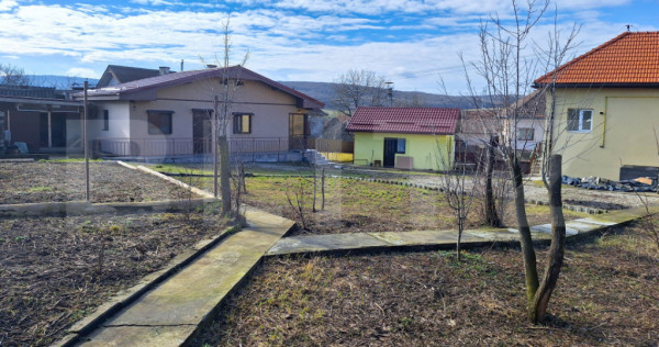 Proprietate cu 3 imobile și 1281 mp teren, Săliștea Nouă