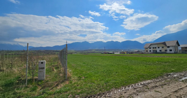 Teren intravilan pentru constructii Zarnesti