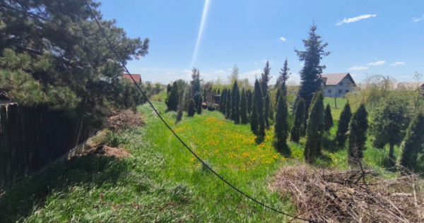 Teren intravilan, 4600mp, zona Francei, Radauti