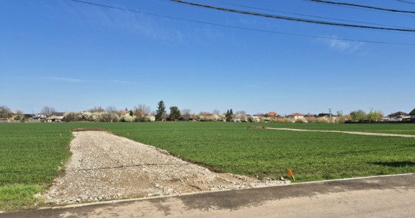 Snagov- Ciofliceni, loturi de casă &icirc;ntre 502mp-536mp, Șer