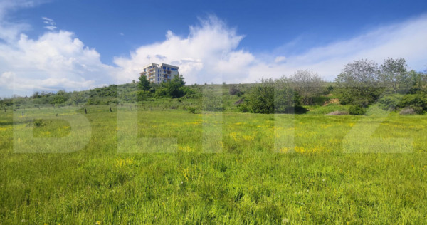 Teren Panoramic 15.500 mp &ndash; Investiție sau Dezvoltare, Zo