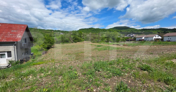 Parcela 600 mp, zona Ghinzii