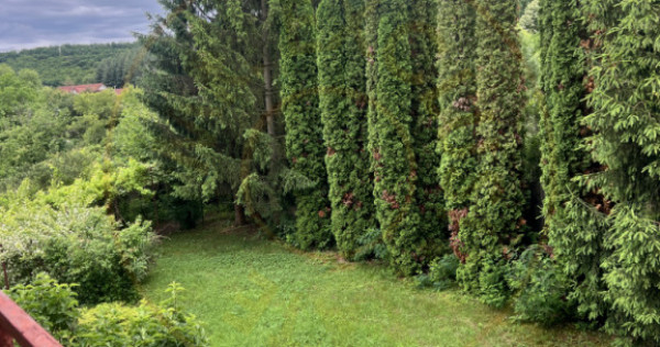 Acasă la Bascov- Județ Arges cu peisaj de poveste