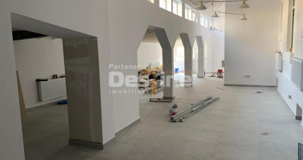 Dacia - Vasile Lascar I Vila 9 camere I Renovata recent