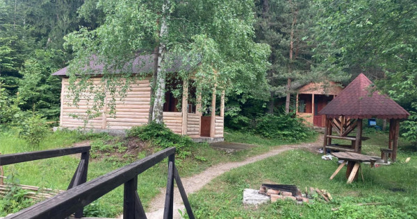 Pensiune - Restaurant - Cabanute - Lac pescuit