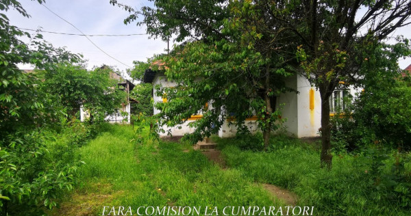 CASA CU TEREN 2539 MP - STOLNICENI, DN 64