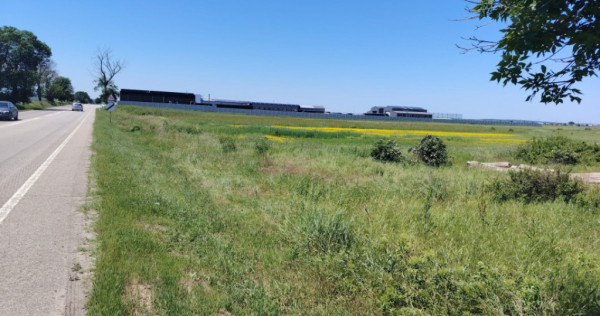 Teren intravilan de v&acirc;nzare &ndash; 3.600 mp, Balș / Bobiceșt