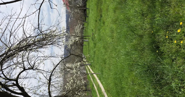 Teren intravilan, 1048mp persoana fizica