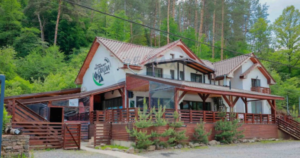 Pensiune cu 6 camere și restaurant de v&acirc;nzare &icirc;n Șunc...
