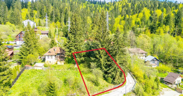 Teren Construibil 930 mp &icirc;n Predeal &ndash; L&acirc;ngă Pădure ...
