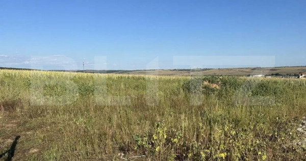 Teren intravilan, suprafata 11.500 mp, zona Marghita