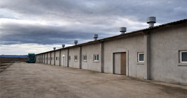 Hala industriala versatila,spatii cazare, platforma betonata