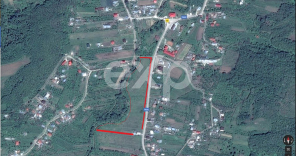 Teren intravilan 21.000 mp de v&acirc;nzare &ndash; Suseni, Comuna Bo