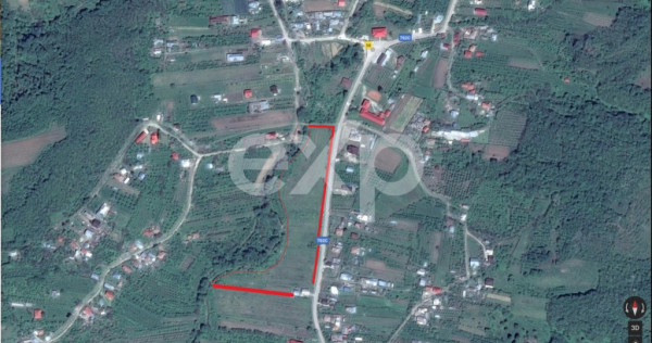 Teren intravilan 21.000 mp de v&acirc;nzare &ndash; Suseni, Comuna Bo