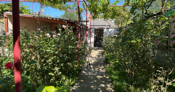 Casă 3 camere de v&acirc;nzare &icirc;n Brătianu Constanța | Teren