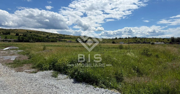 TEREN DE V&Acirc;NZARE &ndash; STRADA ZĂVOAIE