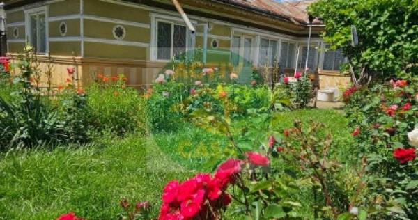 Casa cu 2000 mp teren de vanzare, Roman,Neamt