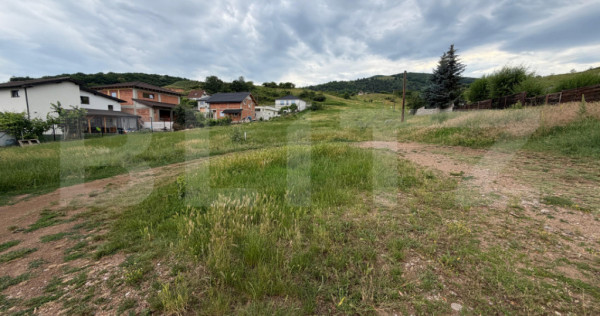 Teren intravilan 3.624 mp, zona Micesti