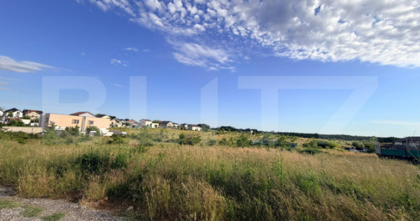 Teren de v&acirc;nzare &ndash; 498 mp, zonă Damila &ndash; Căpșunărie