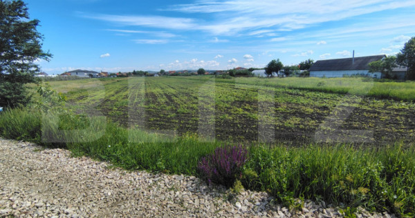 Teren Intravilan de vanzare, 4300 mp, zona plata, in Jucu de