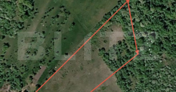 Teren intravilan de vanzare, 6.240 mp - Archia