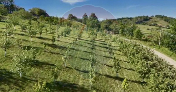 Teren 20.170mp | Livada | Suncuius, Bihor