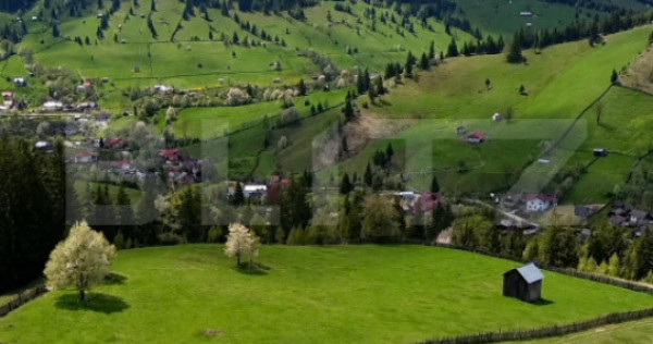 15.300 mp cu panoramă spectaculoasă &icirc;n Sadova | Investiț