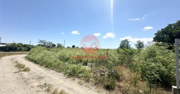Teren Intravilan 1700 mp - Localitatea Amzacea