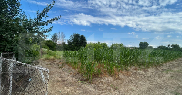Teren intravilan, 6796 mp, zona Crangurile de Jos