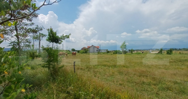 Teren intravilan de vanzare, 544 mp, zona Cornesti - Buduh