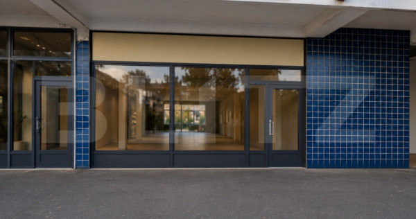 Spațiu comercial de &icirc;nchiriat, 240 mp, Cartierul Tudor &ndash;