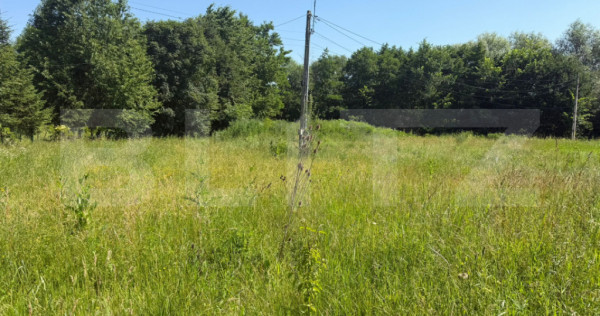 Teren de vanzare Hantesti, 1075 mp, 20 m deschidere