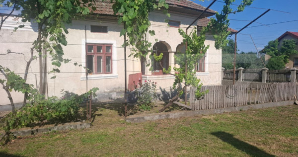 Casa individuala, 100 mp, teren 5000 mp, zona Mogosani