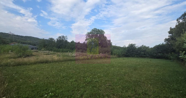 650 mp de liniste, natura si aer curat in Brebu, Prahova