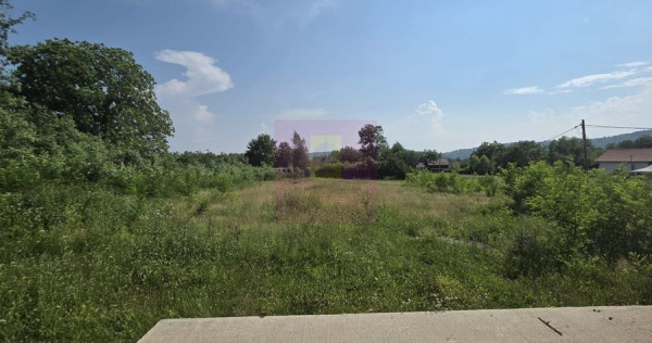 650 mp de liniste, natura si aer curat in Brebu, Prahova