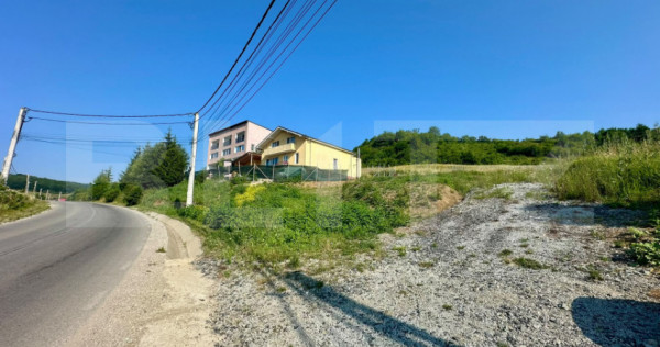Oportunitate investiție: Teren intravilan de 17,4 ari pe De