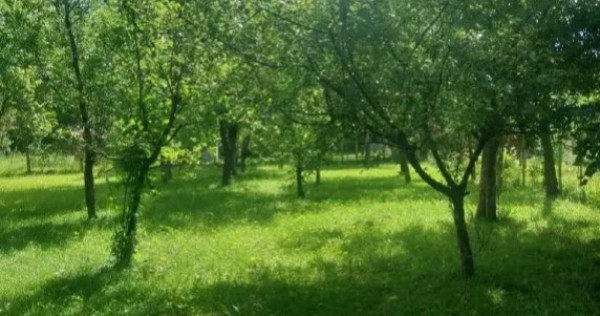Teren de v&acirc;nzare, Prahova, Comarnic, str. Podu Lung nr. 69, 1000mp