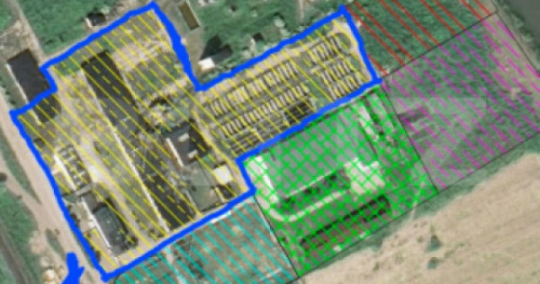 Proprietate industriala masiva 19.485 mp de vanzare in Ludus