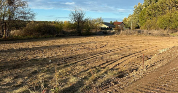 Teren 1000 mp Ordoreanu, l&acirc;ngă pădure și r&acirc;u cu utilit?