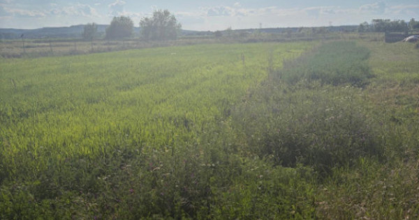 Teren de vanzare, 2090 mp, zona Gara Filiasi