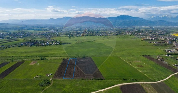 Teren intravilan 8600mp | Stupini, Brașov | Oportunitate...